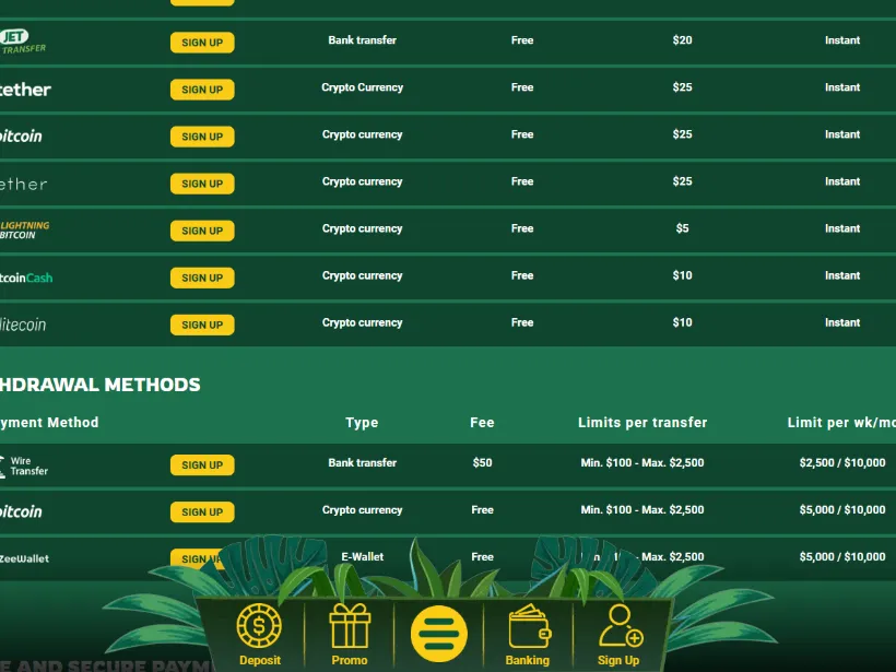 The deposit table, with fees, minimums and processing times.